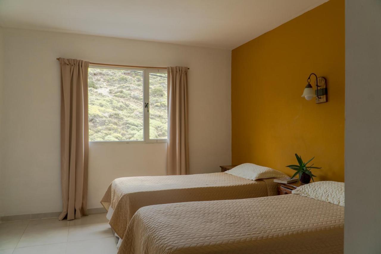 Hosteria Alma De Patagonia إل تشالتين المظهر الخارجي الصورة
